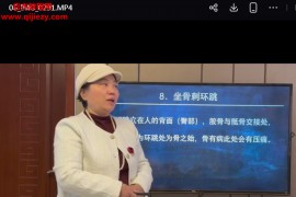 赵霄力开元针灸视频课程合集百度网盘下载学习