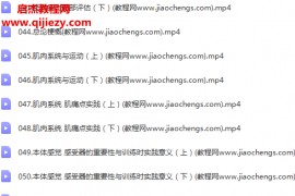 孟生出品strength分享运动损伤预防与矫正视频课程64集百度网盘下载学习