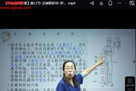 罗海霞中医脉络推拿视频课程20集百度网盘下载学习