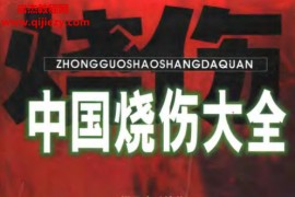 梁勇才编著中国烧伤大全电子书pdf百度网盘下载学习