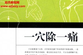 沈新运著一穴除一痛电子书pdf百度网盘下载学习