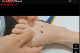 叶唐福禅指点穴技术调理30种常见问题视频课程15集百度网盘下载学习