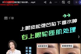 王云老师眼部精准筋膜操作特浓囊手法操作视频课程15集百度网盘下载学习