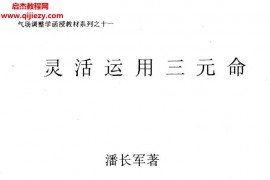 潘长军合集10本电子书pdf百度网盘下载学习
