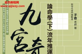 子奇著九宮奇门3论命学上下册电子书pdf百度网盘下载学习