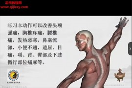 灵素道人吕祖八式养生功3D视频课程9集百度网盘下载学习