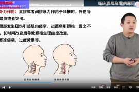 2023年红杏林李新睿柔式正骨专家9班视频课程56集百度网盘下载学习