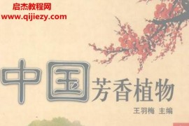 王羽梅主编中国芳香植物上下册电子书pdf百度网盘下载学习