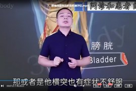 罗飞行腰椎间盘突出症综合康复术视频课程21集罗飞行正骨手法教程百度云网盘下载学习