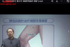 钟箭飞钟氏扶阳针线上课20集百度网盘下载学习