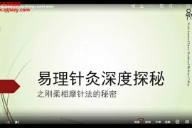 严超易理针灸之刚柔相摩针法高清教学视频7集百度云网盘下载学习
