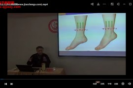 王启才浮针培训视频录像20集百度网盘下载学习