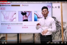 高义古法针灸点穴指针视频合集34班38班49班合集百度网盘下载学习