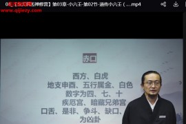 李三净玄天筑炁禅修营线上视频课程28集百度网盘下载学习