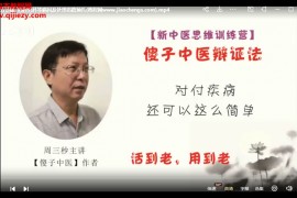 暨傻子中医辩证法周三秒新中医思维训练营系列音视频课程18集百度网盘下载学习