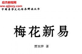 贾双萍著梅花新易电子书pdf百度网盘下载学习
