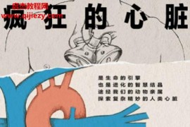 (美)比尔舒特著疯狂的心脏电子书pdfmobiepub格式百度网盘下载学习