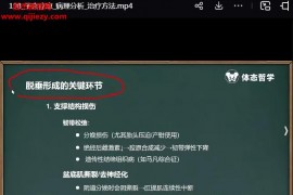 全身徒手整骨整形内部提升视频教程200集百度网盘下载学习