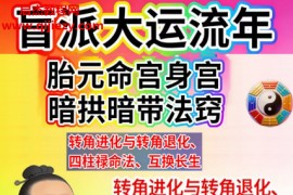 湖北盲派大运流年胎元命宫身宫暗拱暗带法窍电子书pdf百度网盘下载学习