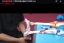 刘学筋骨同调实战班视频课程109讲百度网盘下载学习