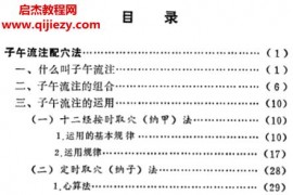 张应泰编十二经六十六穴及奇经八穴的临床图像电子书pdf百度网盘下载学习