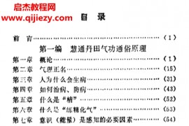 张玉磊著慧通丹田气功及其遥感治病原理电子书pdf百度网盘下载学习
