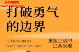 (澳)弗兰杰西卡伊塞利著打破勇气的边界电子书pdfmobiepub格式百度网盘下载学习
