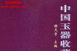 谢天宇主编中国玉器收藏与鉴赏全书上下卷电子书pdf百度网盘下载学习