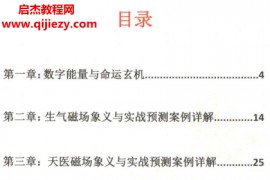 数字能量真传电子书pdf百度网盘下载学习