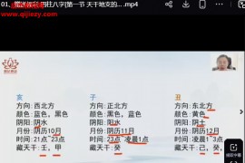 辰南号码玄机高级班视频课程51集百度网盘下载学习