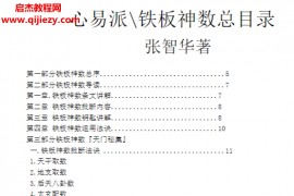 张智华著铁板神仙数电子书pdf百度网盘下载学习