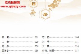 王显刚荣堃主编张锡纯临证用药实用指南电子书pdf百度网盘下载学习