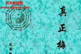 净度易心李液真正梅花三卷全电子书pdf百度网盘下载学习