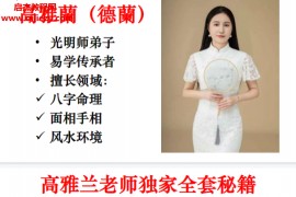 高雅兰老师独家全套秘籍电子书pdf百度网盘下载学习