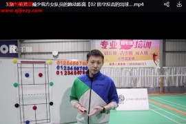 雷羽课堂雷炜亮混双战术配合框架视频课程20集百度网盘下载学习
