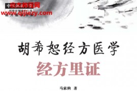 马家驹著胡希恕经方医学经方里证电子书pdf百度网盘下载学习