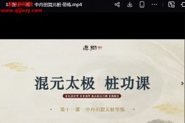 张校长张逢太极桩功课强筋骨养五脏矫体态气血足视频课程13集百度网盘下载学习