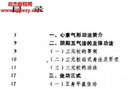 陈启斌著心意气形功电子书pdf百度网盘下载学习