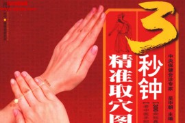 吴中朝主编3秒钟精准取穴图解电子书pdf百度云网盘下载学习