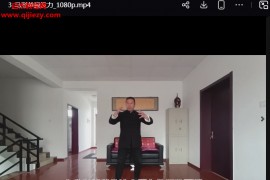 高臣老师神州意拳视频课程合集55集神州意拳功法秘解三维试力秘鉴百度网盘下载学习