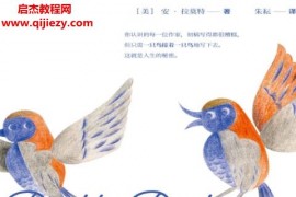 (美)安拉莫特著一只鸟接着一只鸟关于写作与人生的建议电子书pdfmobiepub格式百度网盘下载学习