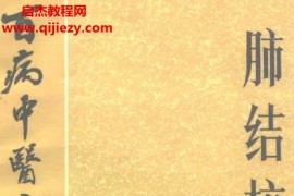 百病中医自我疗养丛书郭子光著肺结核病电子书pdf百度网盘下载学习