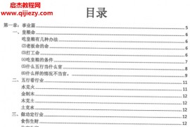 市场稀缺资料2025最新版崔文举盲派八字精进班电子书pdf百度网盘下载学习