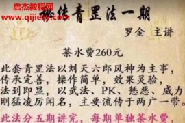 罗金青罡法第一期文字资料百度网盘下载学习