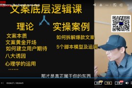 5哥的文案课新手做抖音如何写文案视频教程21集百度网盘下载学习