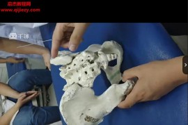 王震生带你学软外之诊断思路与针刺技巧视频课程15集百度网盘下载学习