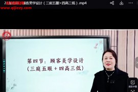 刘梅小小针面部风水美雕面授课视频课程38集百度网盘下载学习