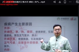 李相辉岐伯双枢玄刺术线上课视频课程31集百度网盘下载学习