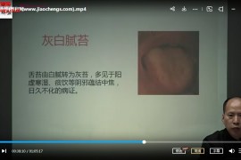 宗宥丞面舌手三诊合参辨病灶视频课程4集百度网盘下载学习