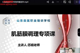 山东良医苏娟肌筋膜松解全科班视频课程20集百度网盘下载学习